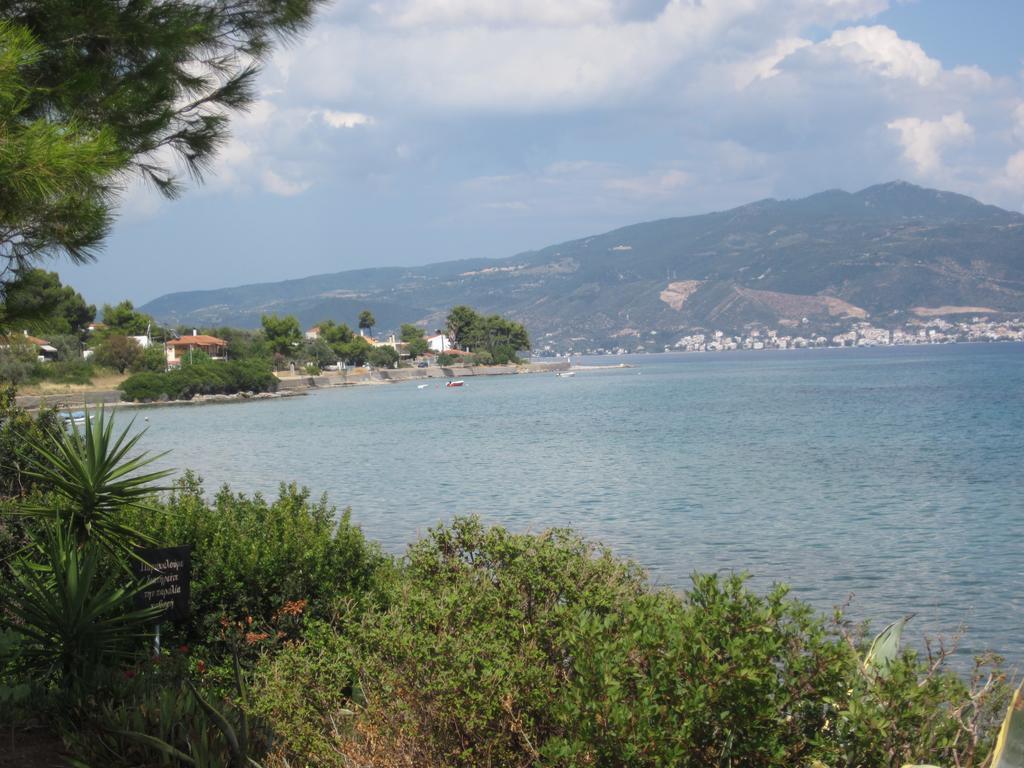 Δωμάτια Τίνα Γιάλτρα Δωμάτιο φωτογραφία