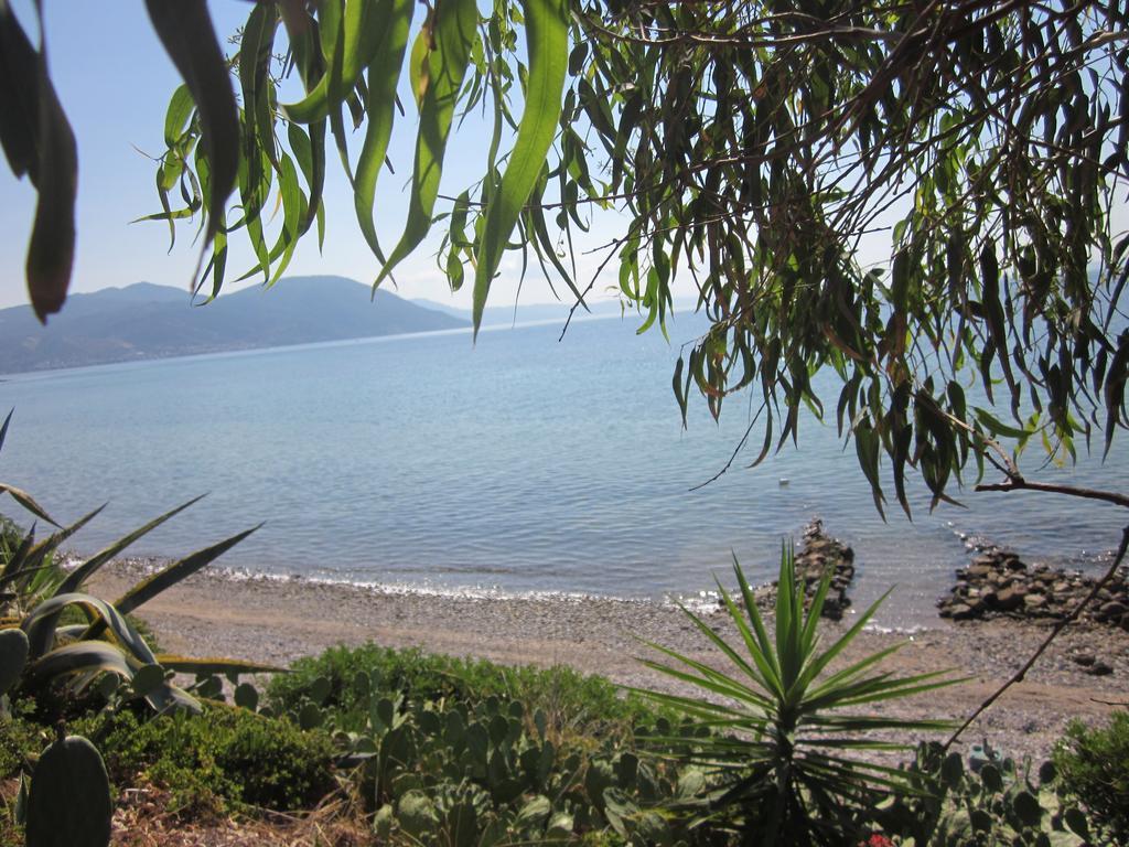 Δωμάτια Τίνα Γιάλτρα Δωμάτιο φωτογραφία