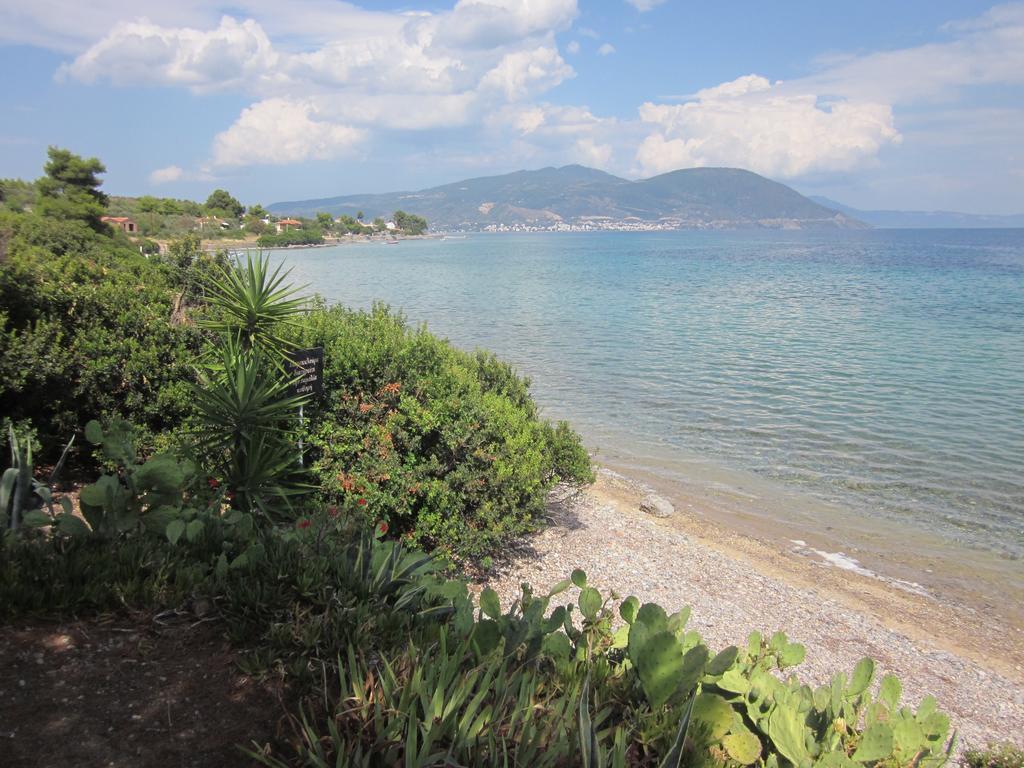 Δωμάτια Τίνα Γιάλτρα Εξωτερικό φωτογραφία