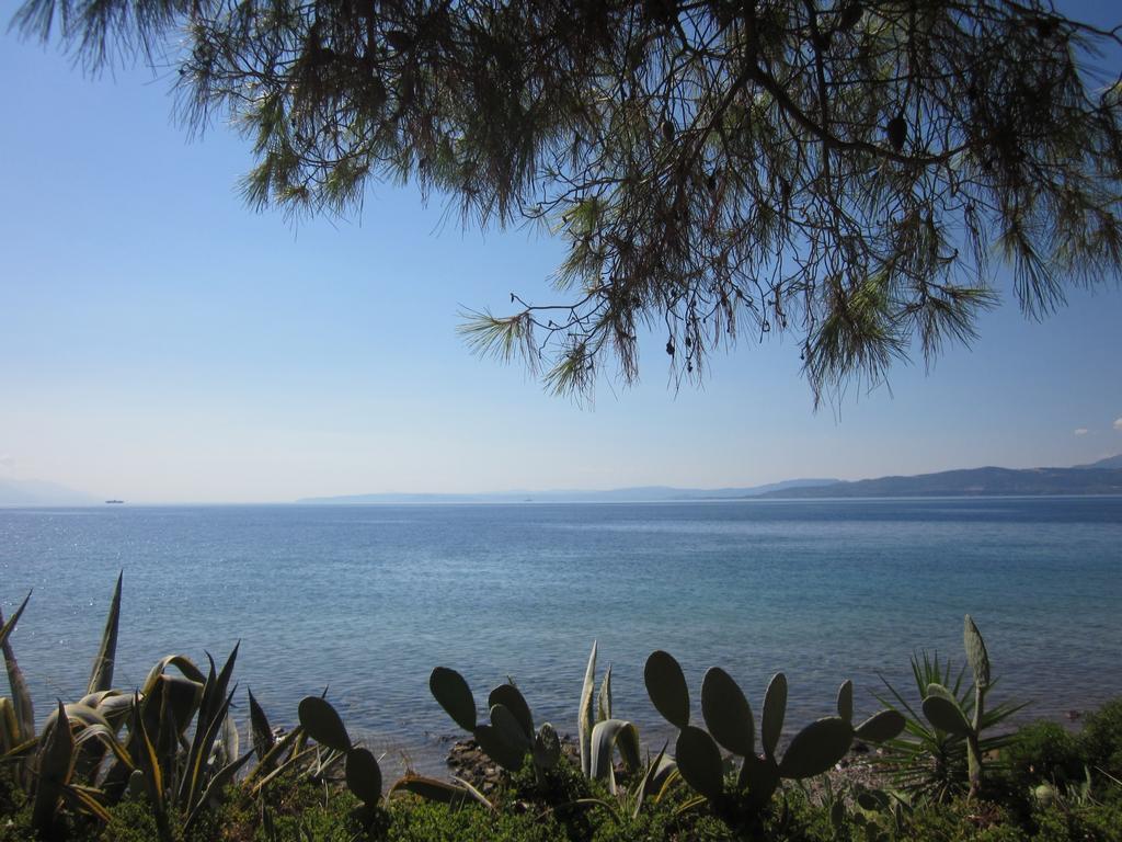 Δωμάτια Τίνα Γιάλτρα Εξωτερικό φωτογραφία